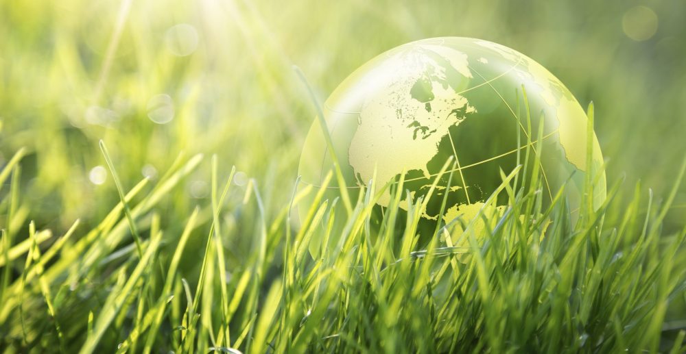 How to Execute Proper Green Marketing Campaign