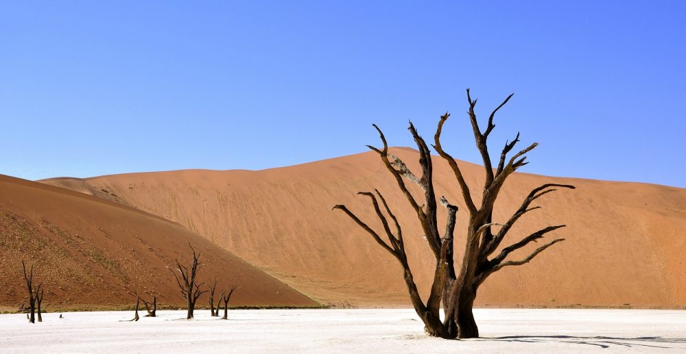 Private Equity Investment in Africa