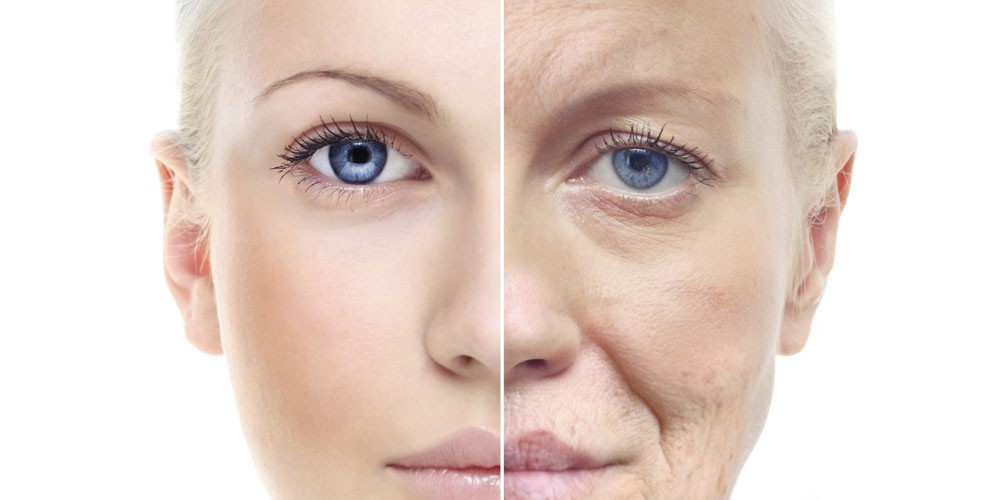 the-aging-process