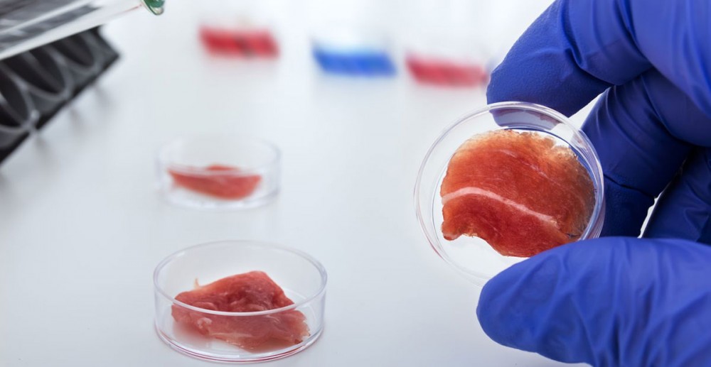 Lab-Grown-Meat