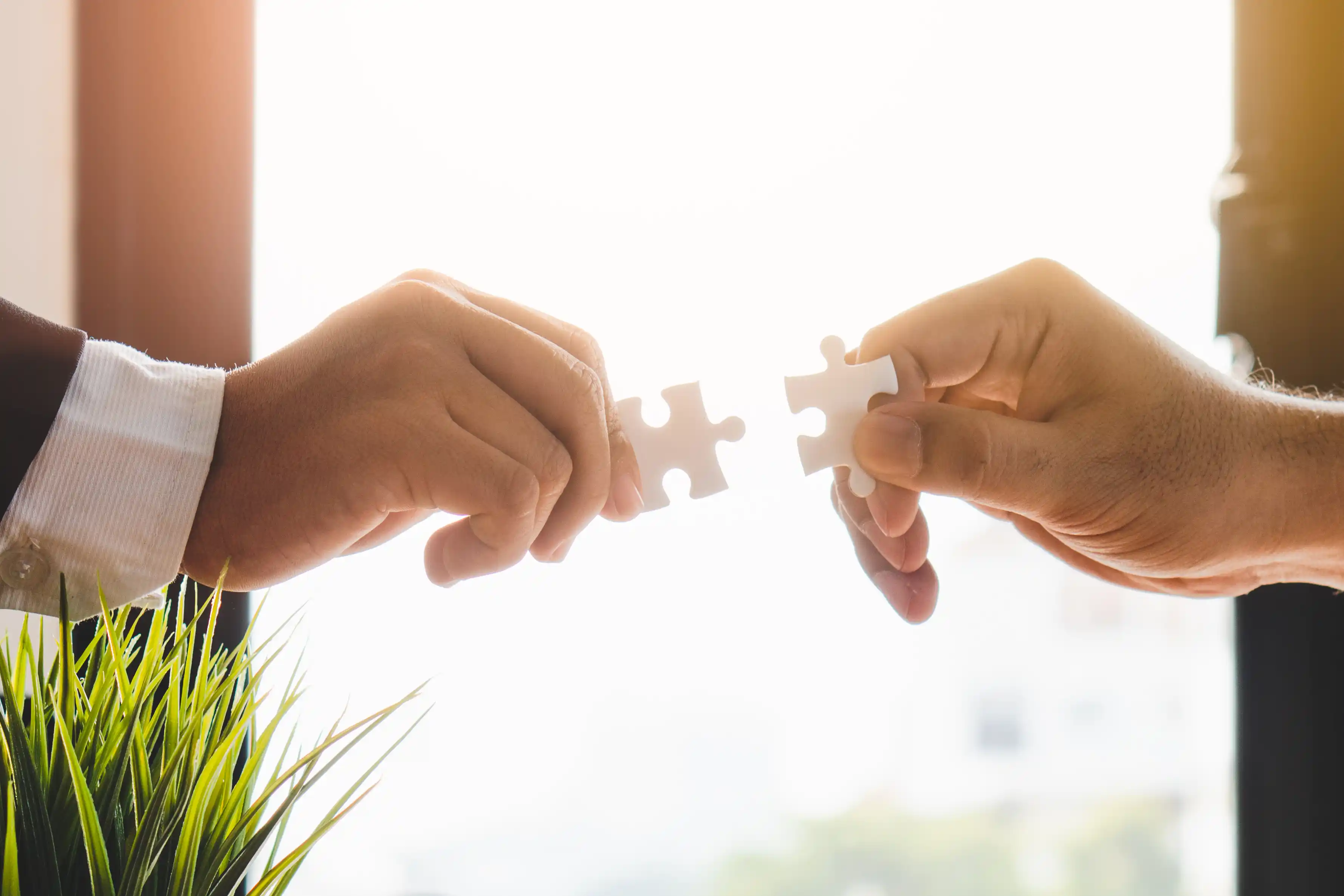why do companies merge